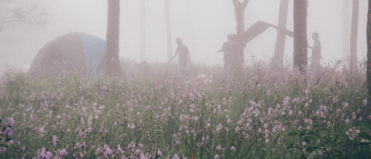 cover How to get to Phu Soi Dao... another forest... that should be visited during the rainy season.