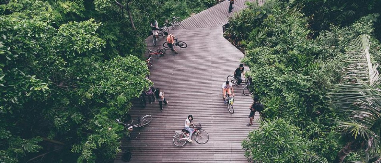 cover | > 1 Day in Bang Krachao < | Cycling until my belly sticks out, the air is so fresh that it fills my lungs.