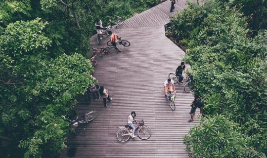 cover | > 1 Day in Bang Krachao < | Cycling until my belly sticks out, the air is so fresh that it fills my lungs.