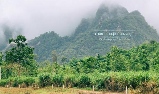 Cover 2 Days 1 Night Thong Pha Phum National Park: 1 Backpack, Letting You...