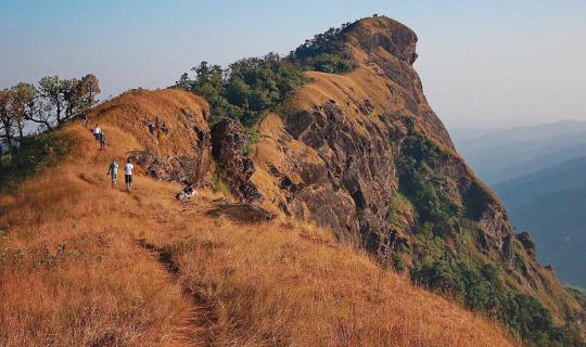 Cover Climbing the Forest, Embracing the Mountains on Valentine's Day... "...