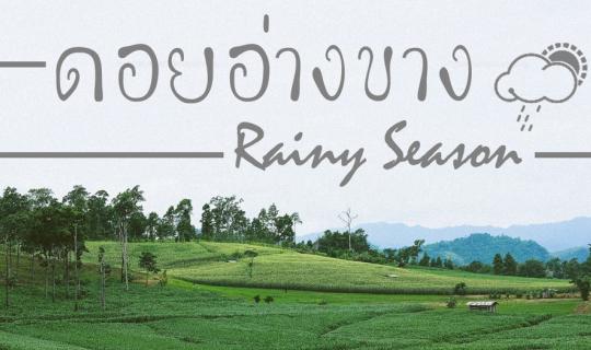 Cover What's so good about Doi Ang Khang during the rainy season? Let's fi...