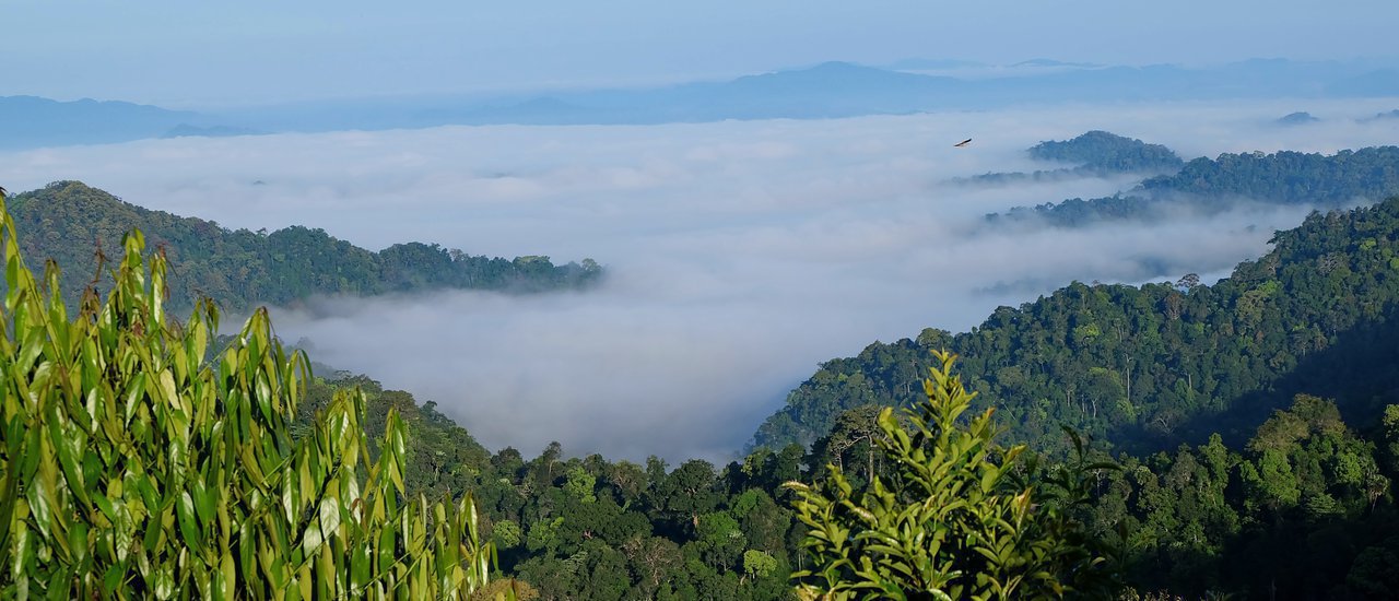 cover Year-round coolness at Khao Pha Nen Thung: The sea of mist that tells your friends to go