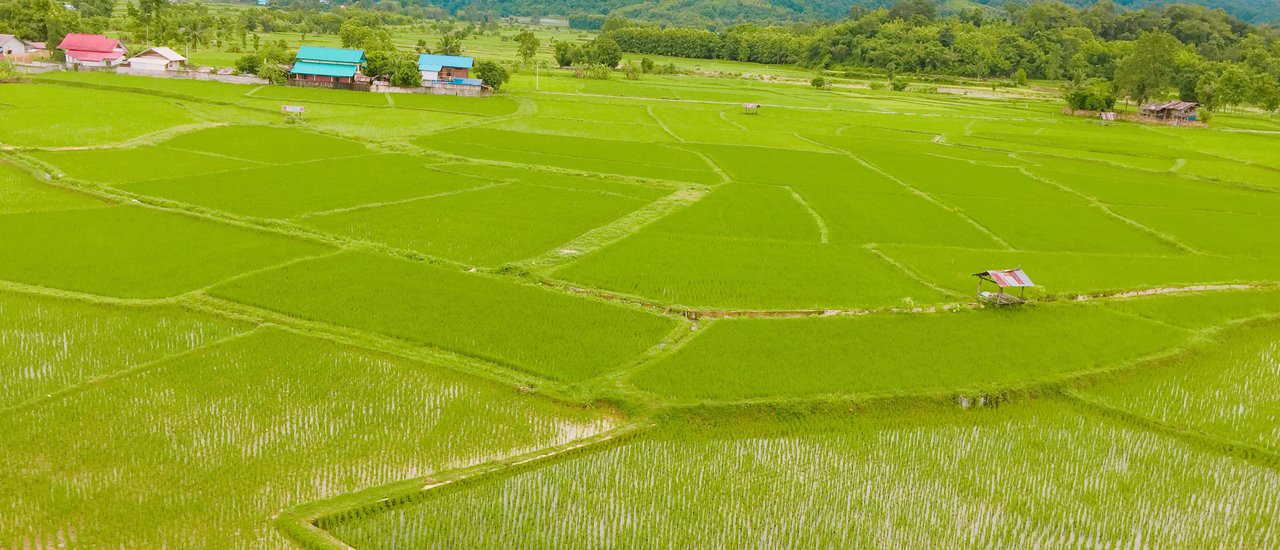 cover Time slows down in the small town of Pua-Bo Kluea-Sapan: Nan, slowly, slowly.