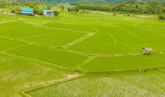 Cover Time slows down in the small town of Pua-Bo Kluea-Sapan: Nan, slowly...