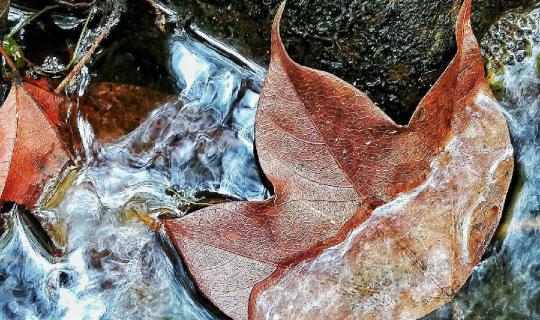 cover Two backpacks and two hearts.