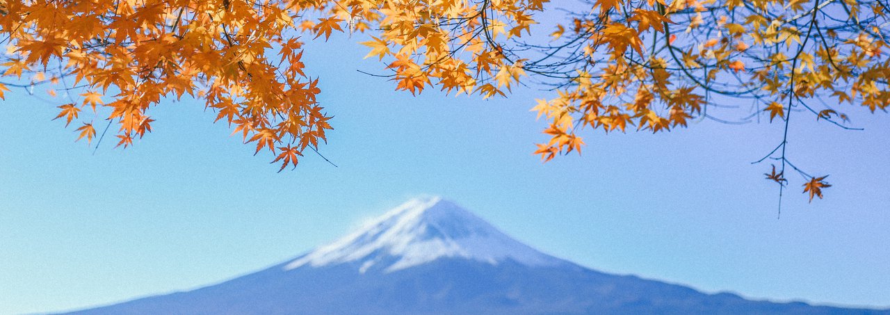 cover When the leaves change in Japan (green, yellow, red)