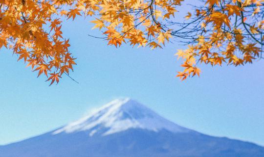 cover When the leaves change in Japan (green, yellow, red)
