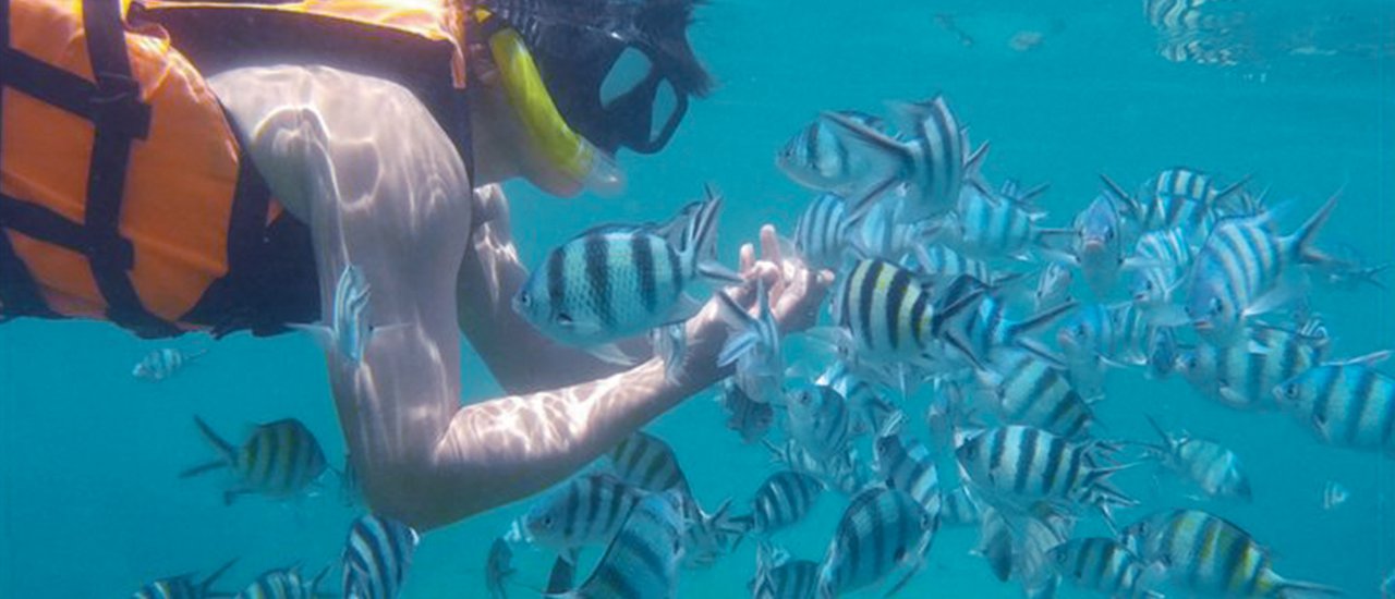 cover Exploring ... Koh Taloo