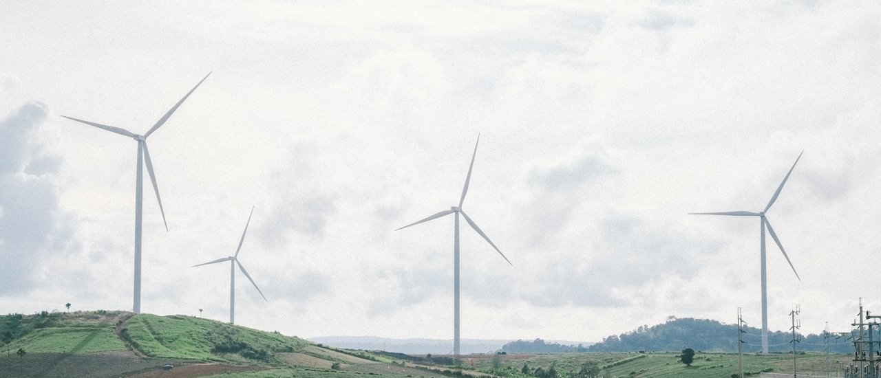 cover Navigatoo: Nature's Chill, Sea of Mist with Ginger Lilies