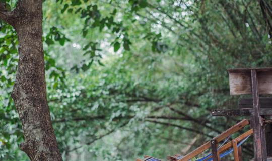 cover "Sujipuli House: A Paradise for Dog Lovers"