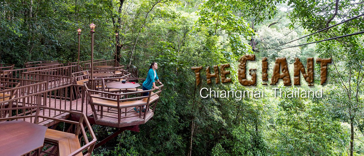 cover Check in to the trendy coffee shop!! The Giant ChiangMai ☕️