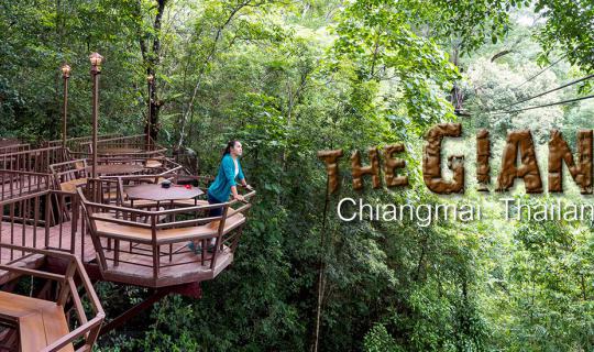 cover Check in to the trendy coffee shop!! The Giant ChiangMai ☕️