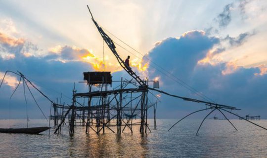 cover Giant water lilies, the setting sun, the Thale Noi Lake, water buffaloes, migratory birds, and the Lamphu tree - Phatthalung