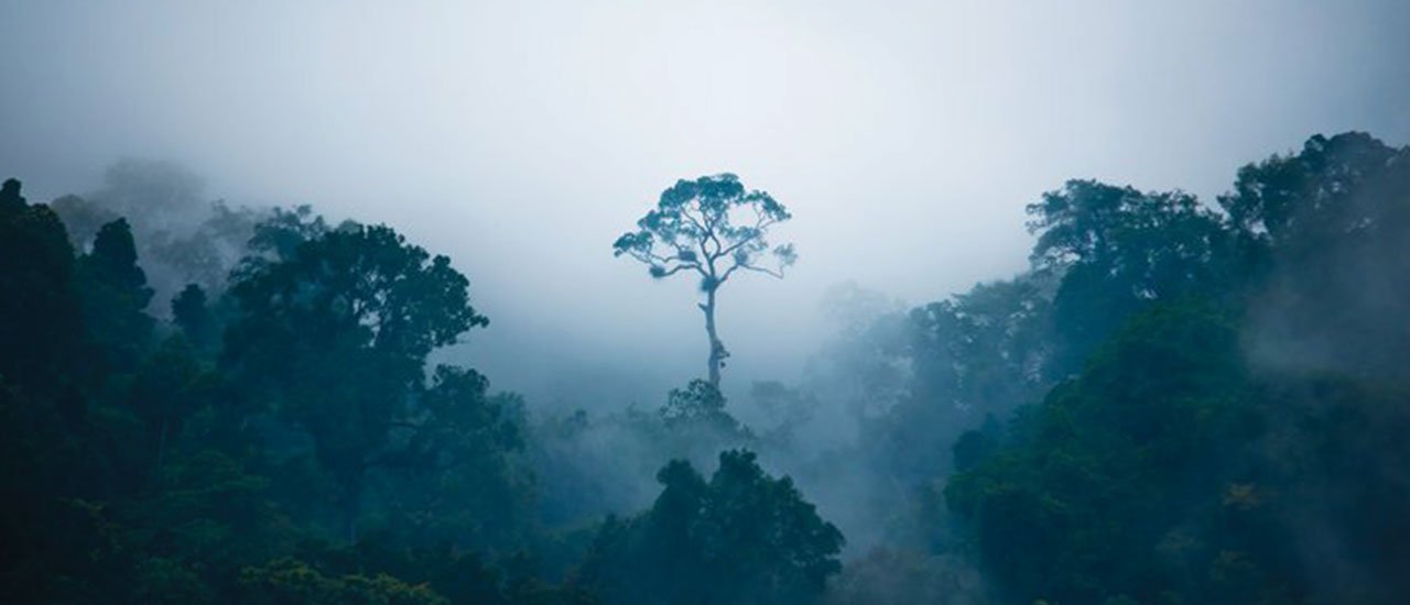 cover Admiring the Sea of Mist and Experiencing Warm Hospitality at Khao Pha Nen Thung, Kaeng Krachan National Park