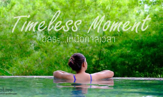 cover Time Flies: Year 2 and the Peak Period!