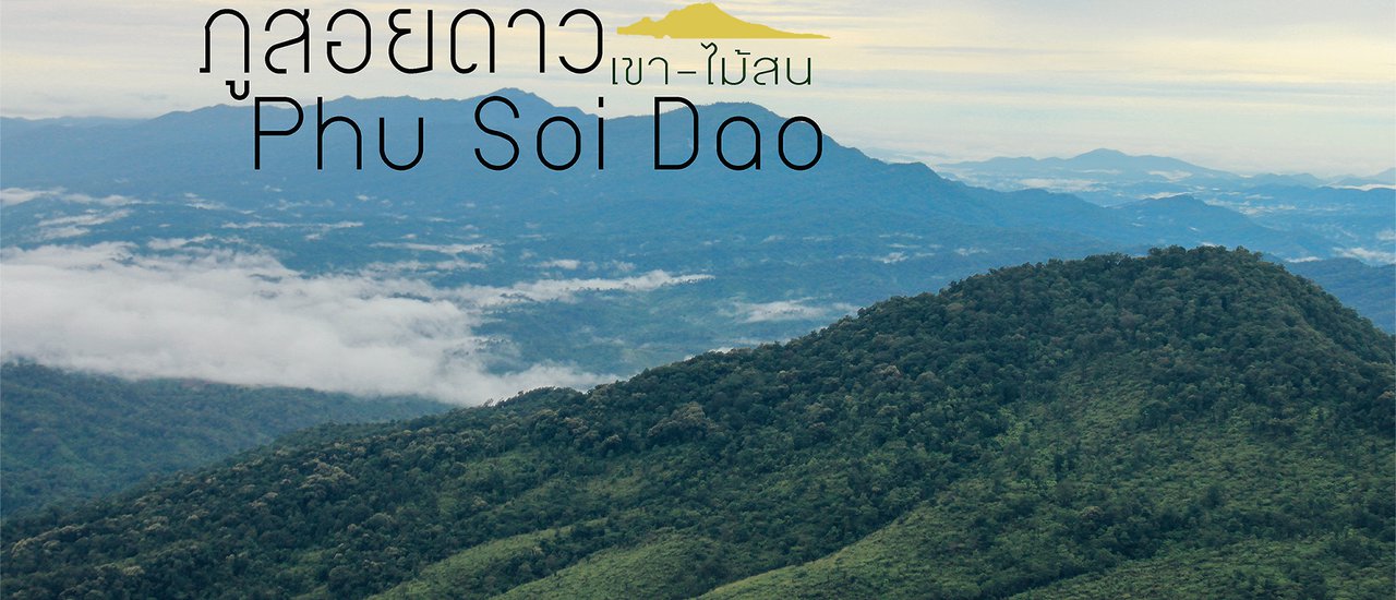 cover 🍁 🍃 🍂 Volcano 🌋 When the rainy season makes people lonely, "Phu Soi Dao" is the answer. 🌋🍁 🍃 🍂 #KhaoMaiSon #WeChooseMountains #EmbraceTheMountains Part 1