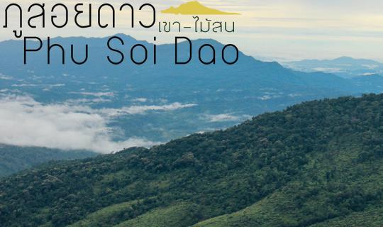 cover 🍁 🍃 🍂 Volcano 🌋 When the rainy season makes people lonely, "Phu Soi Dao" is the answer. 🌋🍁 🍃 🍂 #KhaoMaiSon #WeChooseMountains #EmbraceTheMountains Part 1