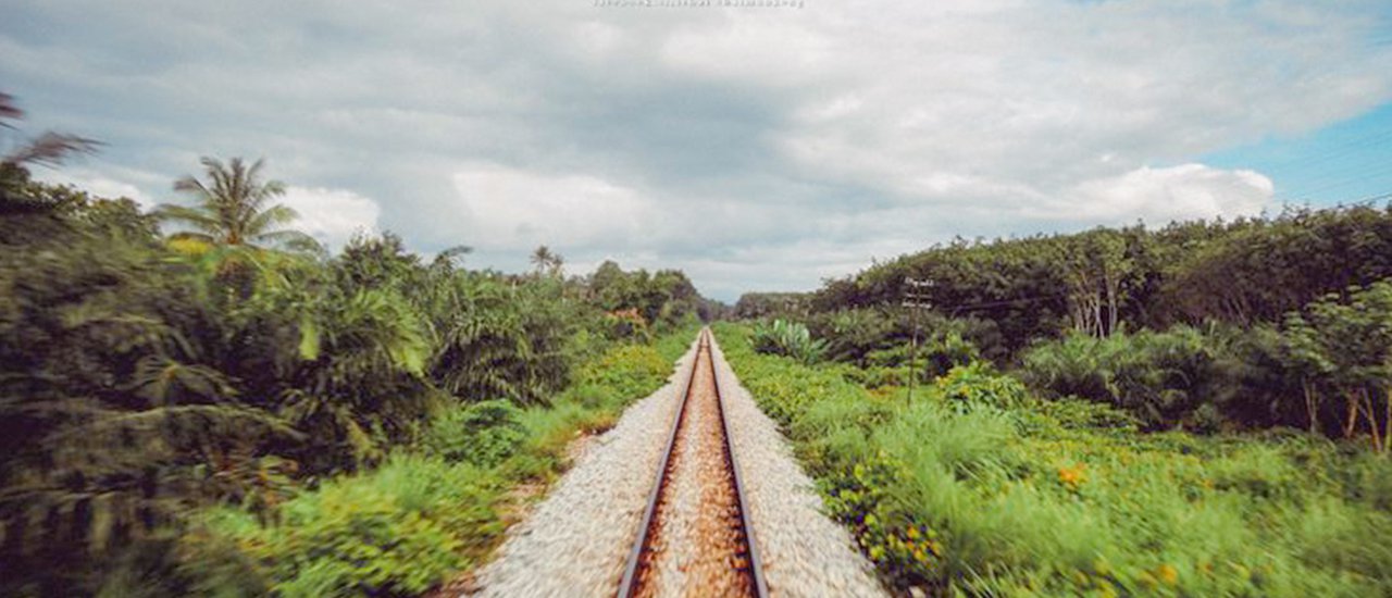 cover Escape the hustle and bustle, board the train, and embrace the charm of Trang in a relaxed way.