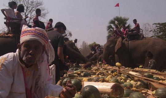 cover Visiting the Thai Elephant Festival: Witnessing Karen People Caring for Elephants at the Thai Elephant Festival in Ban Poo Teur, Mae Sot District, Tak Province.