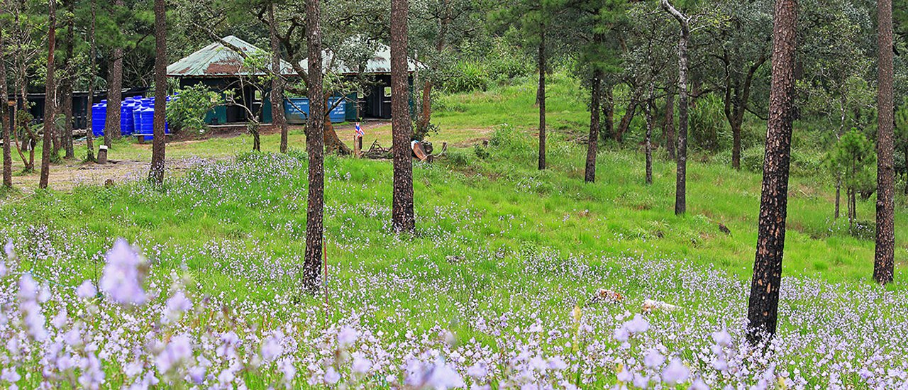 cover Three of Us, Two Nights, and One Mountain: A Hilarious and Grueling Hike Through Phu Soi Dao