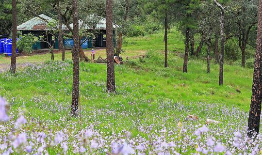 cover Three of Us, Two Nights, and One Mountain: A Hilarious and Grueling Hike Through Phu Soi Dao