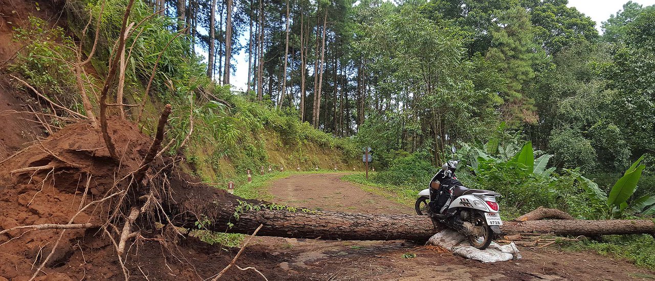 cover A five-day holiday for a factory worker... taking on the challenge of Doi Inthanon in Chiang Mai.