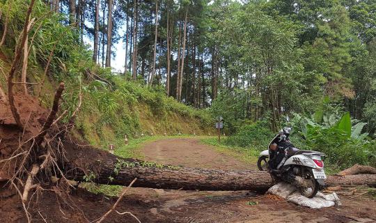 cover A five-day holiday for a factory worker... taking on the challenge of Doi Inthanon in Chiang Mai.