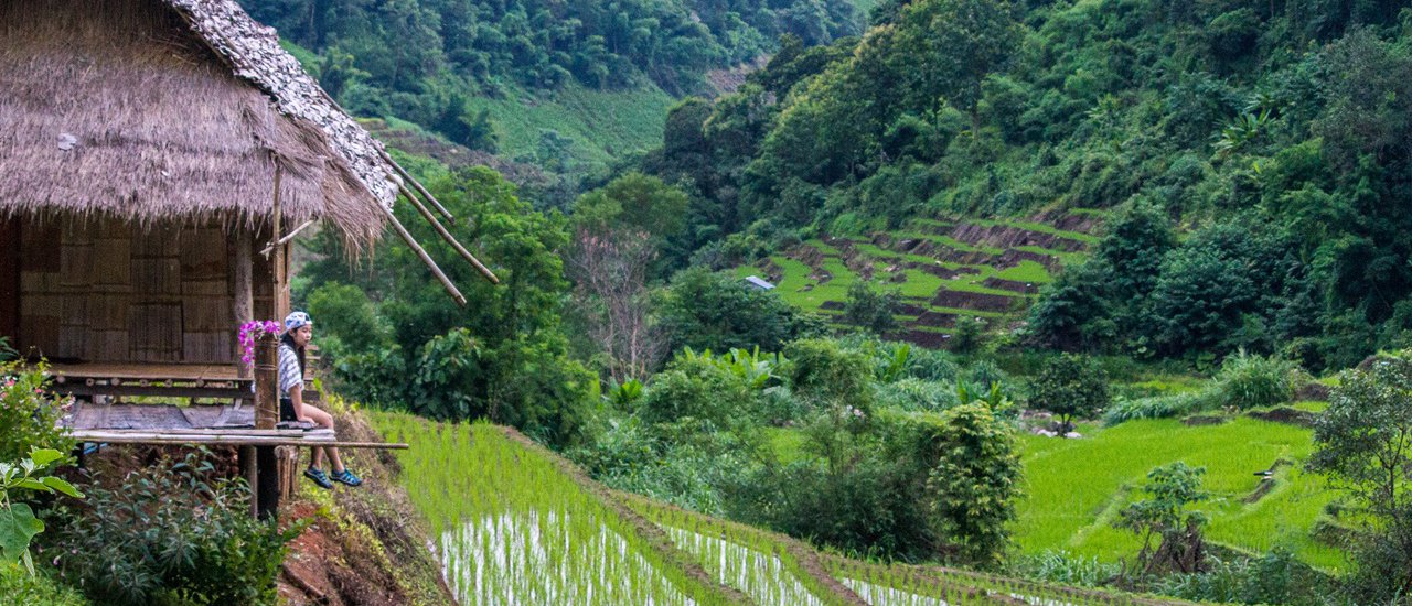 cover 900 Baht for a Breathtaking View of Nature! @ Govit Krating Phlana Na
This sentence advertises a place called Govit Krating Phlana Na, where visitors can enjoy stunning natural views for 900 Baht.