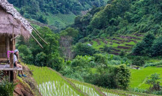 cover 900 Baht for a Breathtaking View of Nature! @ Govit Krating Phlana Na
This sentence advertises a place called Govit Krating Phlana Na, where visitors can enjoy stunning natural views for 900 Baht.