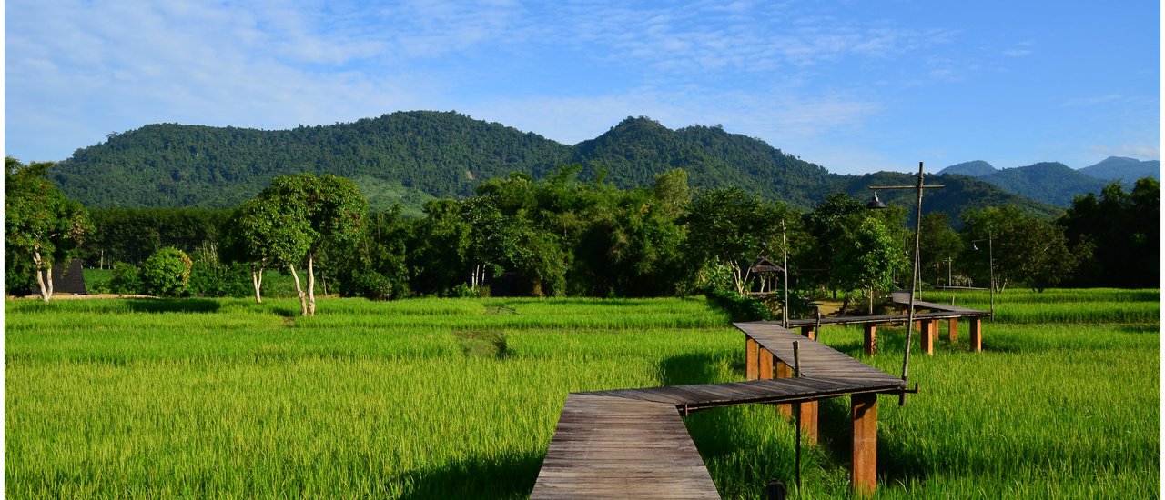 cover How about a trip to Chiang Rai with me? Immerse yourself in the myriad of stars and sleep soundly at the Saeng Arun farm. ##