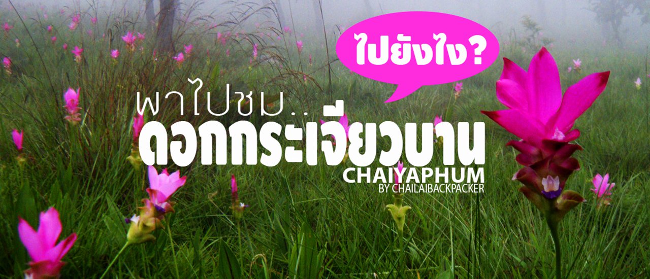 cover #ดอกกระเจียวบาน :: เมื่อเข้าหน้าฝน.. ดอกกระเจียวก็เริ่มบาน!