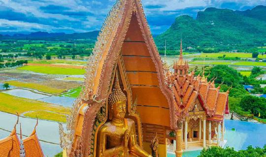 cover This trip to the temple with tigers in Kanchanaburi.