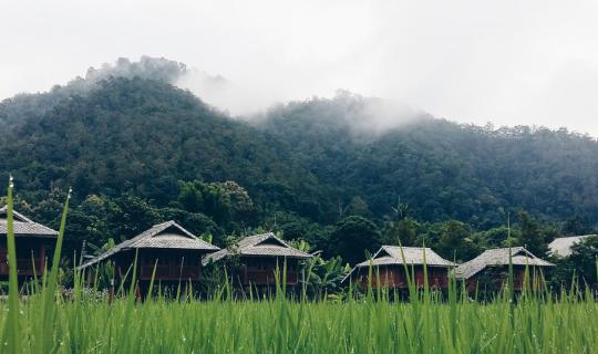 cover A Heartwarming Chiang Mai in the Rainy Season: A Short Two-Day, One-Night Trip