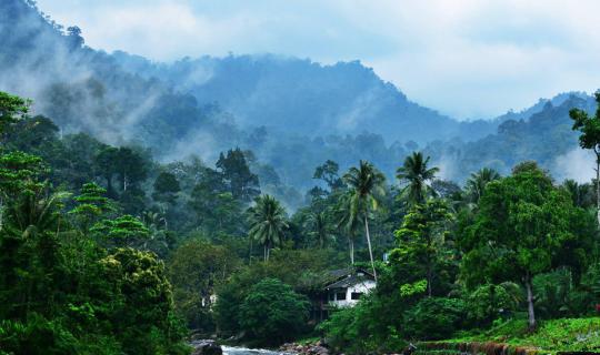 cover A Journey to Mueang Kon: Slumber to the Sound of Flowing Water, Breathe in the Fresh Air at Kiree Wong Village.