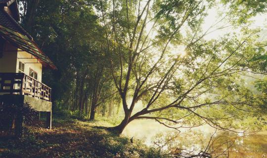 cover "Thansai Paiwan Resort, Phitsanulok: A place that leaves a lasting impression."