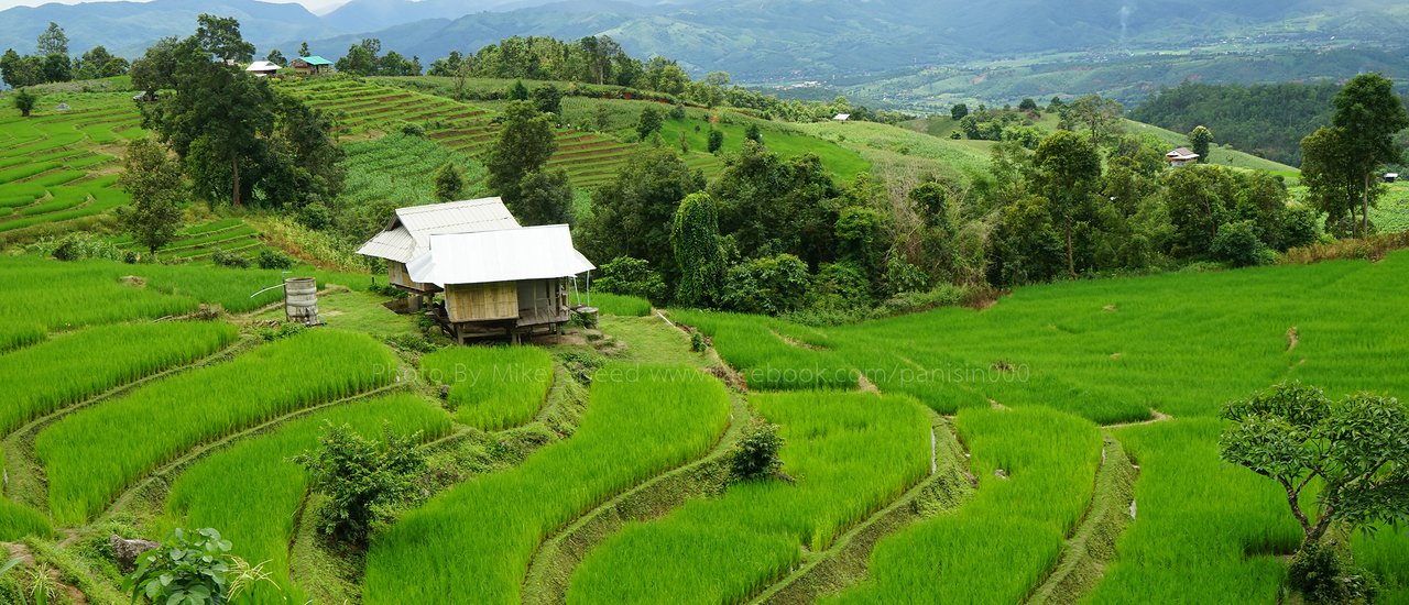 cover 2 Days 2 Nights: Stairway to Heaven Rice Terraces in Chiang Mai [Pa Pong Pieng, Mae Klang Luang]