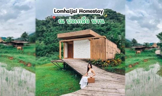 Cover “Lomhaijai Homestay ลมหายใจ ณ บ่อเกลือ น่าน”...