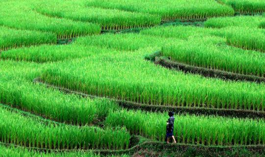 cover Here ... Mae La Noi | Mae Hong Son