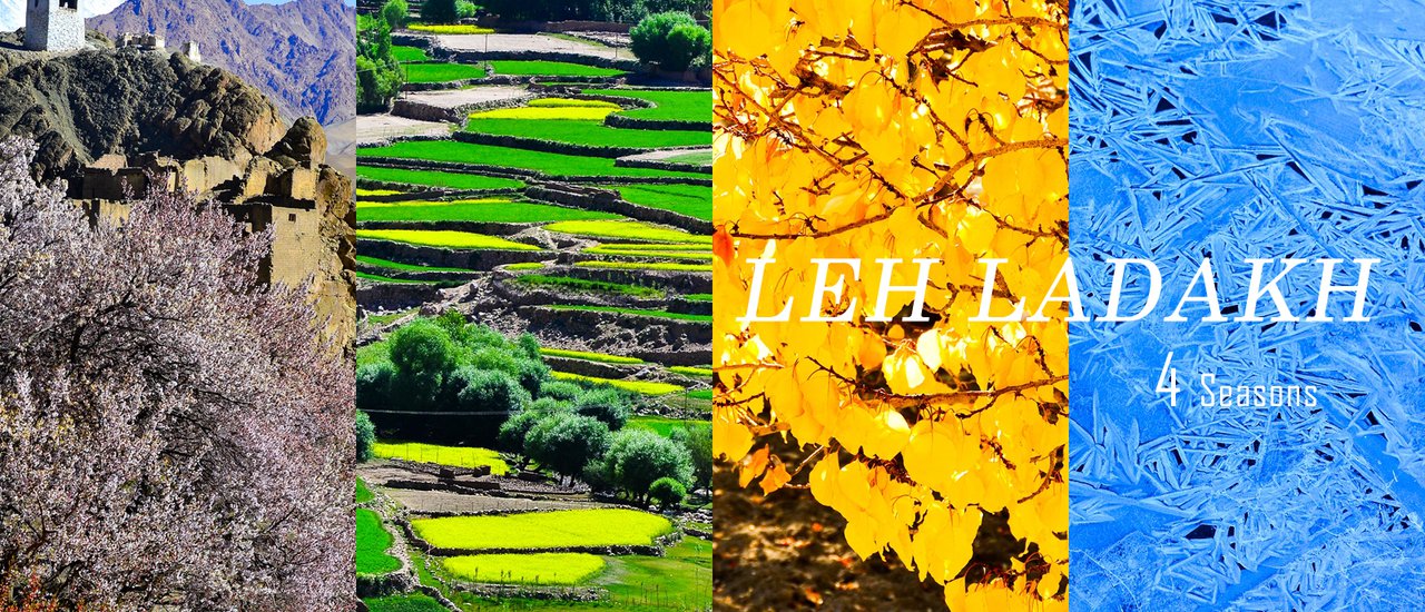 cover 4 Seasons in Leh | 4 Unique Charms: Let's See How Each Season Differs