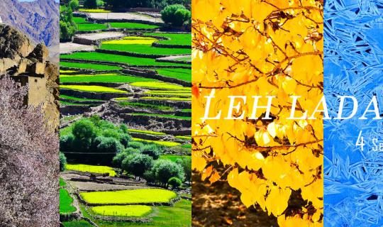 cover 4 Seasons in Leh | 4 Unique Charms: Let's See How Each Season Differs