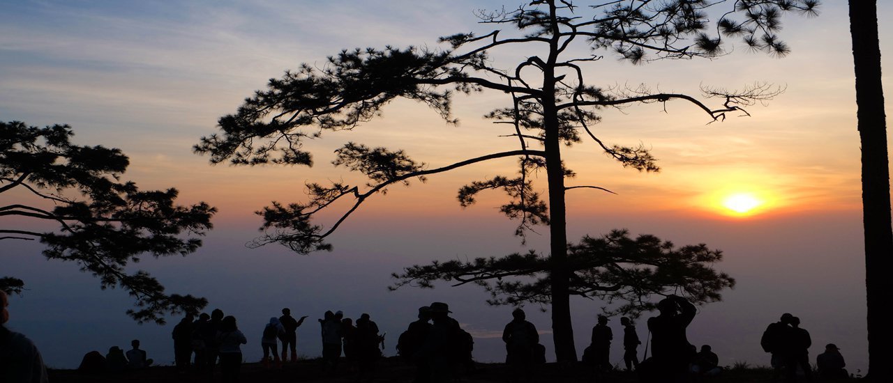 cover Let your fluttering heart find solace at Phu Kradueng (Traveling solo isn't as daunting as you think).