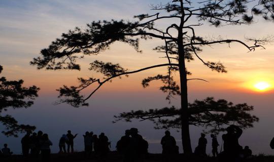 cover Let your fluttering heart find solace at Phu Kradueng (Traveling solo isn't as daunting as you think).