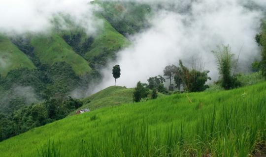 Cover Breathe in the Earthy Scent of Pua with a Backpack on Your Back: In ...