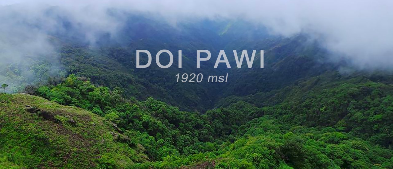 cover A 1920 msl exploration trip to Doi Pha Wi | Umphang, which is more than just a waterfall.