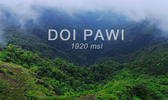 cover A 1920 msl exploration trip to Doi Pha Wi | Umphang, which is more than just a waterfall.