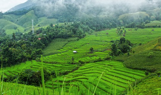 Cover #BlackPurpleReview # "7 Steps to Heaven" Chiang Mai Province, a must...