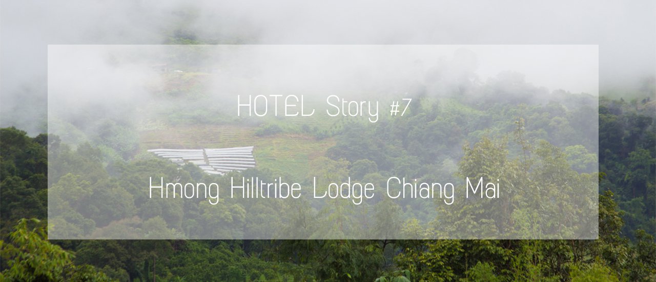 cover Hotel Story 7: A picturesque flower photography trip in Mae Rim, followed by a relaxing stay at the Mong Hill Tyre Lord Hotel in Chiang Mai.