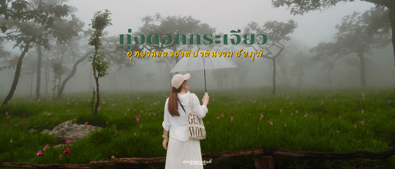 cover ชวนมาถ่ายรูป ทุ่งดอกกระเจียว อุทยานแห่งชาติป่าหินงาม: ชัยภูมิ