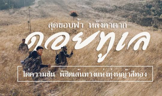 cover Lost in the Wilderness #8: Reaching the Horizon at Doi Tu Lay, Scaling the Steep Slopes to Conquer the Golden Meadow Trail